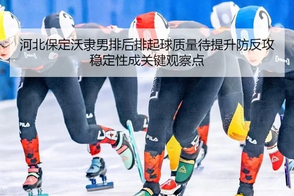 河北保定沃隶男排后排起球质量待提升防反攻稳定性成关键观察点